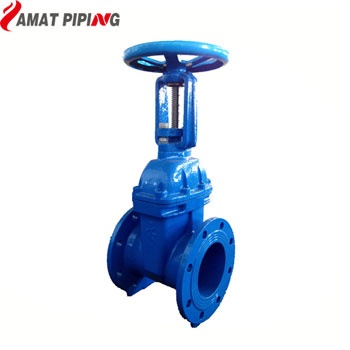 BS5163 Resilient Seat Gate Valve(R.S.) PN10/PN16