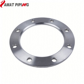 BS10 T/D Backing Rings Flange