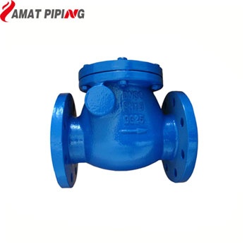 DIN3202-F6 Swing Check Valve PN10/PN16