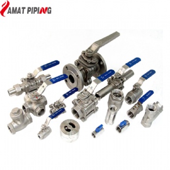 Stainless Steel Valves